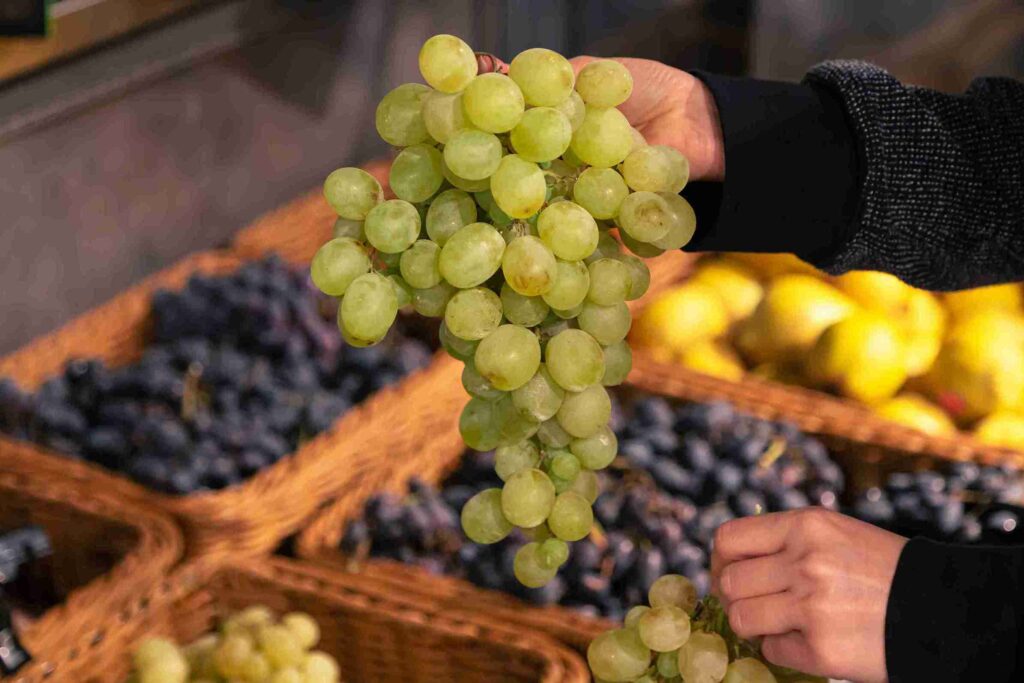 cotton candy grapes in human hands to tell how to store cotton candy grapes