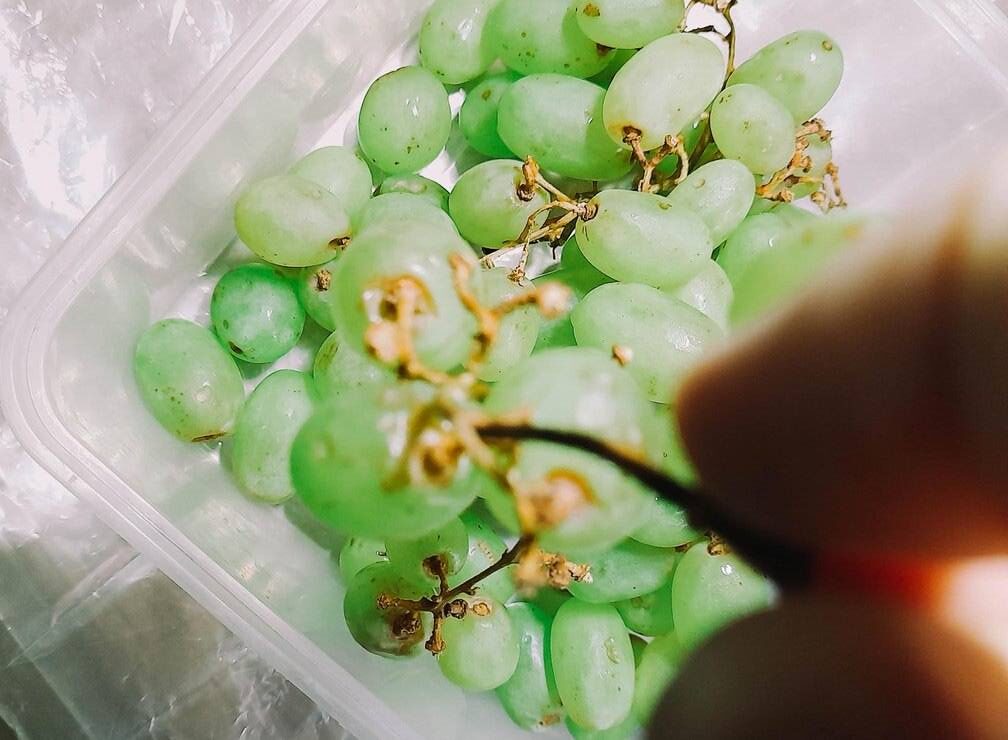 cotton candy grapes